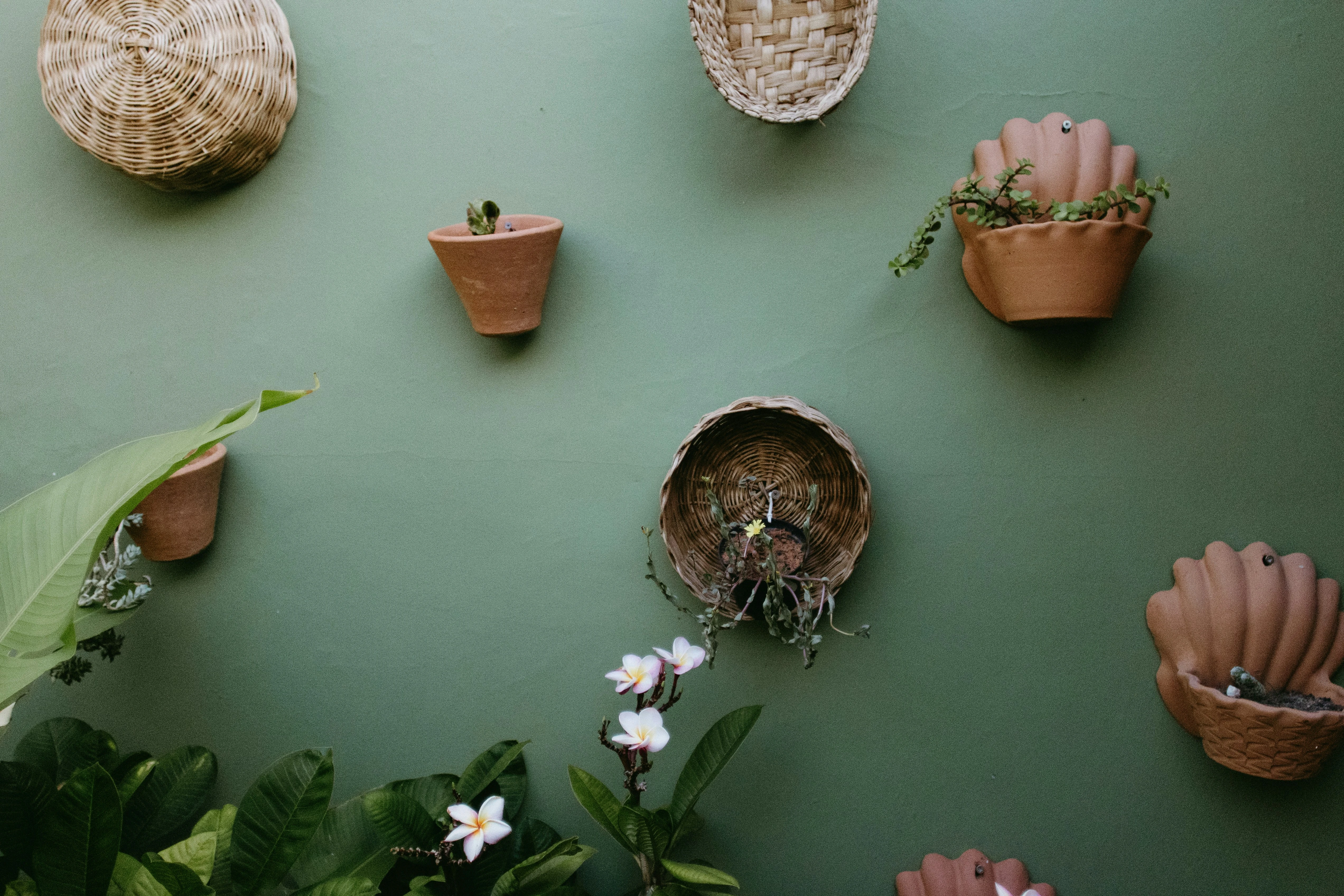 Terracotta in Interior Design: Styles, Pairings & What’s Selling